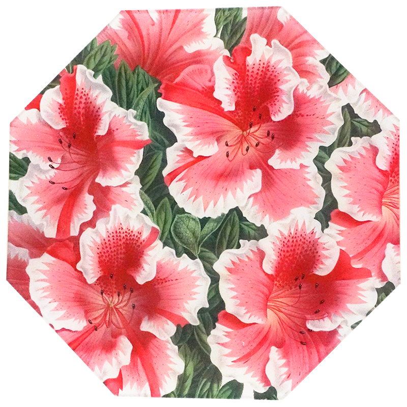 Dark Pink Azalea