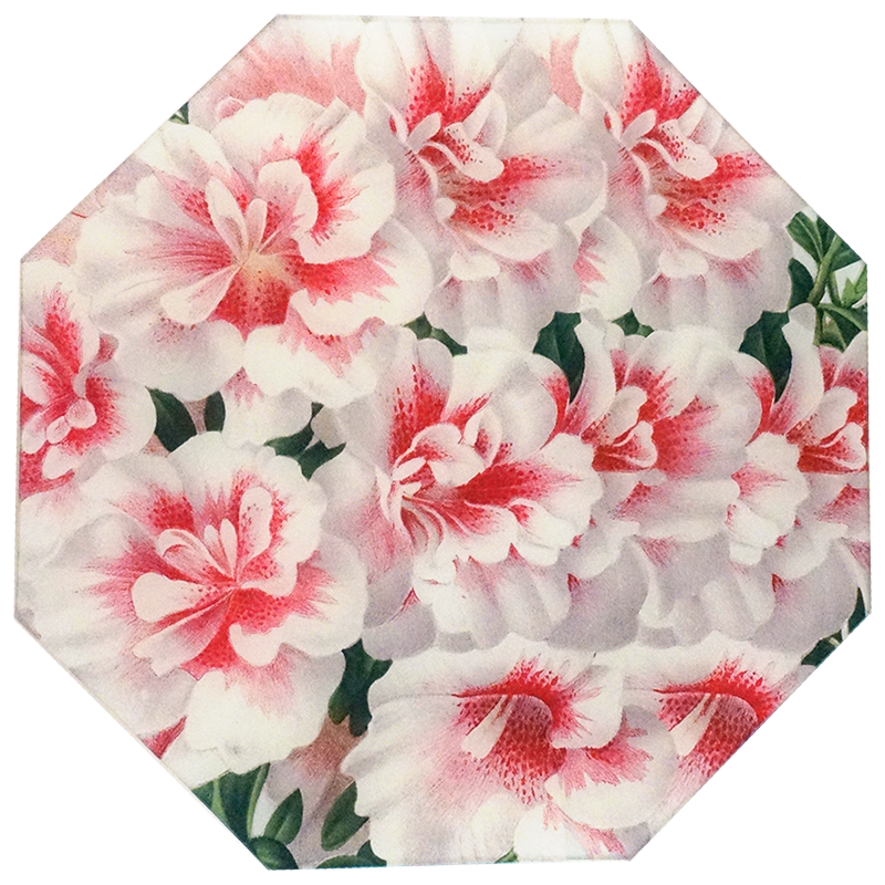 Variegated White