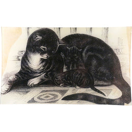 Domestic Cat - FINAL SALE