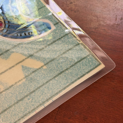 One-of-a-Kind Collaged Tulips & Butterflies Mat (#12)