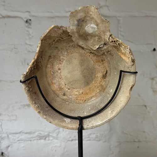 16th-century Ming Dynasty Porcelain Shipwreck Bowl