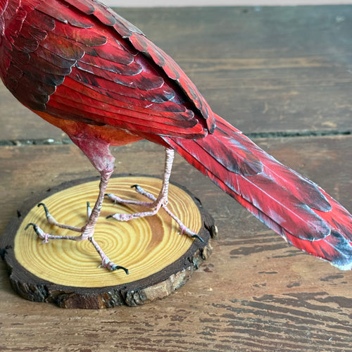 Papier-Mâché Cardinal