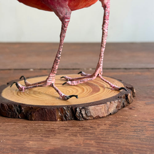 Papier-Mâché Cardinal