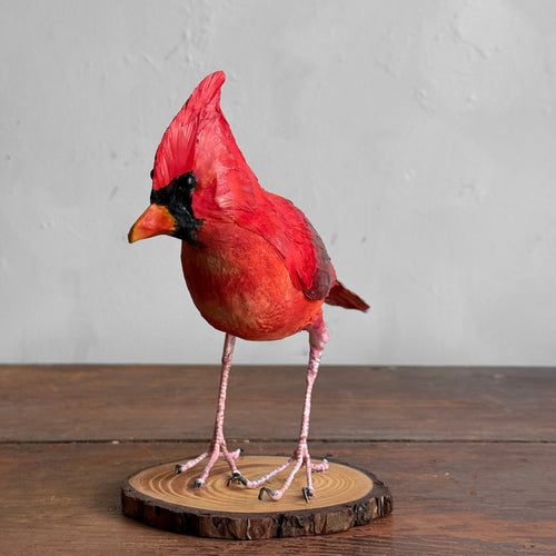 Papier-Mâché Cardinal