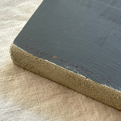 Leanne Shapton "Frankenstein" Painted Wooden Book