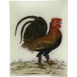 #63 - The Bantam Cock