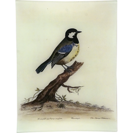 #67 - The Great Titmouse