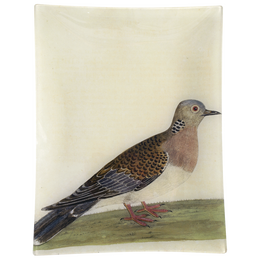 #29 - Turtle Dove - FINAL SALE