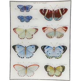 Butterflies 16 - FINAL SALE