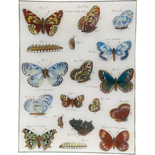 Butterflies 54 - FINAL SALE