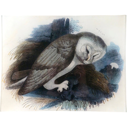 The Owl - FINAL SALE