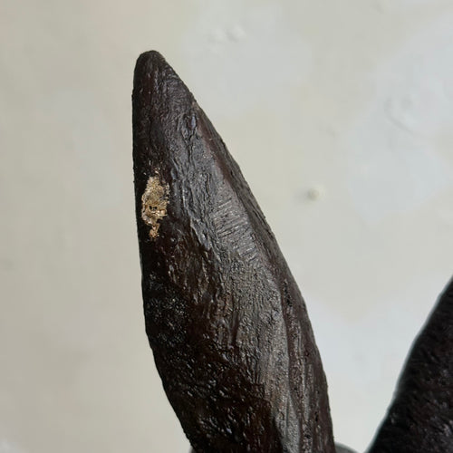 Black Forest Carved Rabbit Head (BFR-515)