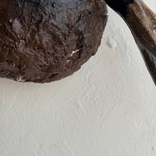 Early 20th-century Black Forest Carved Bird's Nest (BFB-11)