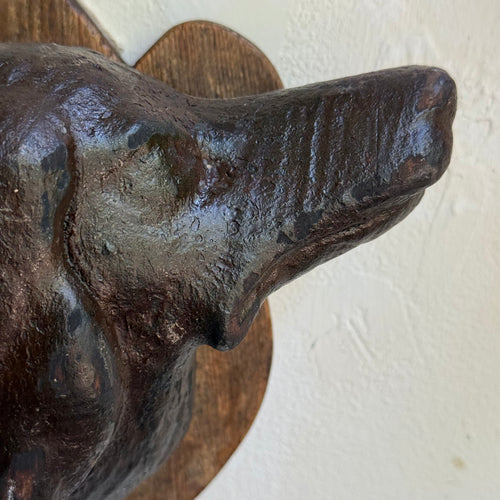 Early 20th-century Black Forest Carved Dog Head (9-13)