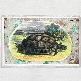 One of a Kind Collaged Turtle Mat (#614)