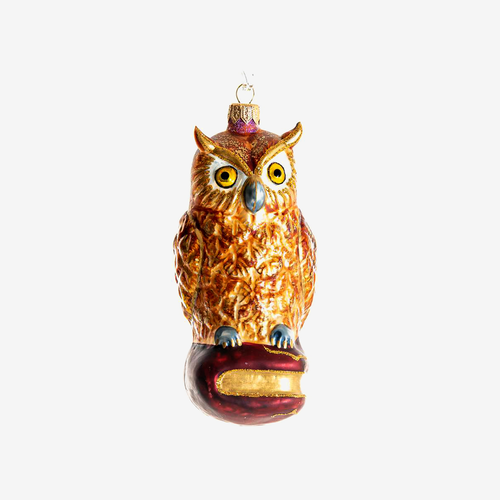 Owl On Book Ornament