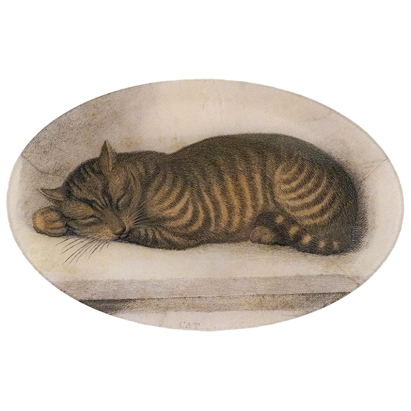 A nine inch by fourteen inch horizontal glass plate featuring a sleeping brown tabby cat curled up on a light surface shown on a cream background. 