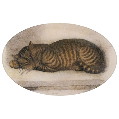 Cat Nap