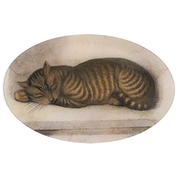 Cat Nap