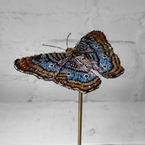 Hand-Beaded Anertia Butterfly on Stand by Trovelore