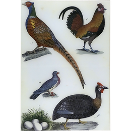 Fowl