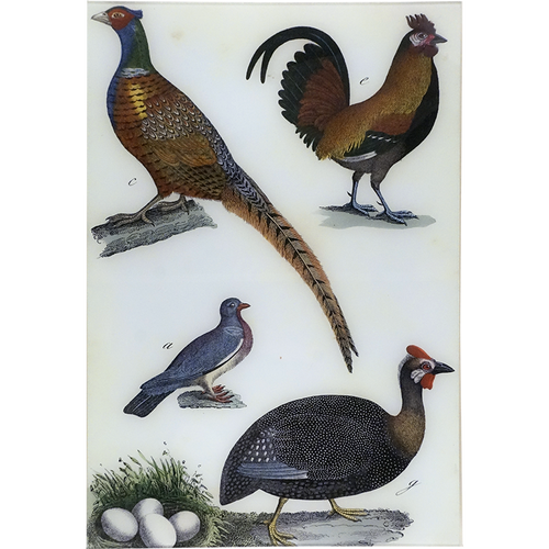 Fowl