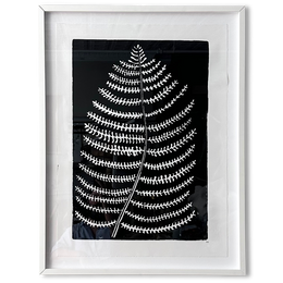 Hugo Guinness "Fern" Custom Framed Linocut