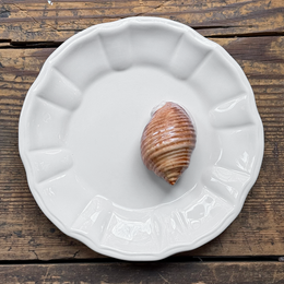 Trompe L'oeil Shell Plate with Fluted Rim