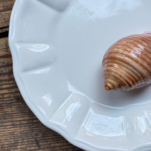 Trompe L'oeil Shell Plate with Fluted Rim