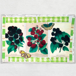 One of a Kind Collaged Fruit & Butterfly Mat (#616)