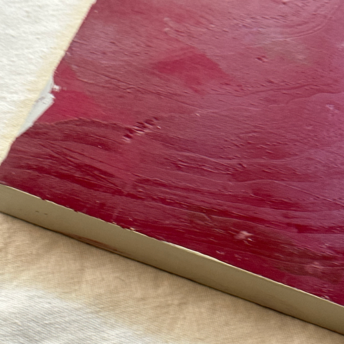 Leanne Shapton "Edie: an American Biography" Painted Wooden Book