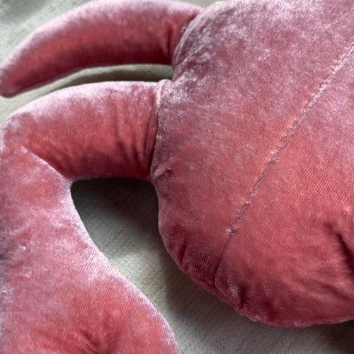 Moira Embroidered Silk Velvet Crab in Cyclamen