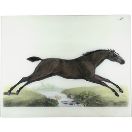 Jumping Horse