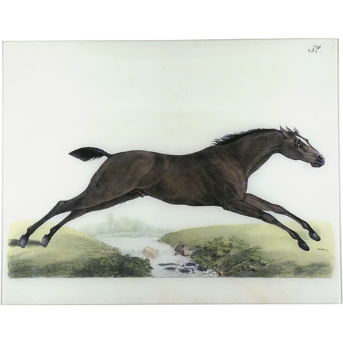 Jumping Horse