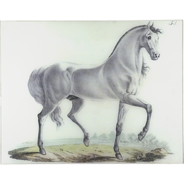 White Horse