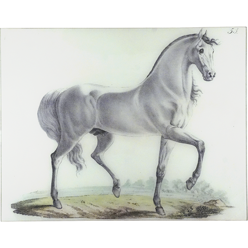 White Horse