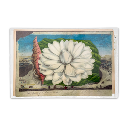 One-of-a-Kind Collaged Rome & White Flower Mat (#17)