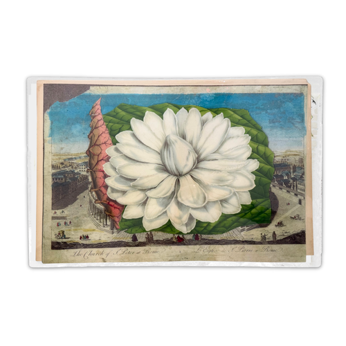 One-of-a-Kind Collaged Rome & White Flower Mat (#17)