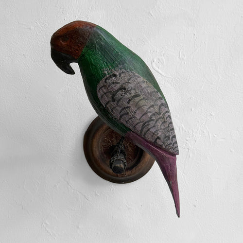 Early 20th-century Black Forest Carved Parrot (BFB-523)