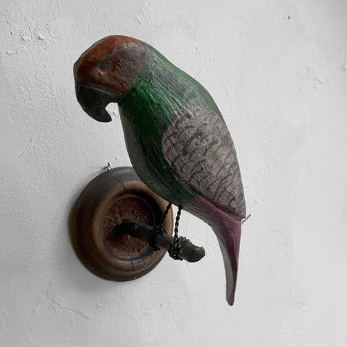 Early 20th-century Black Forest Carved Parrot (BFB-523)