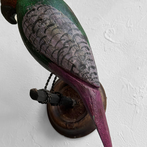 Early 20th-century Black Forest Carved Parrot (BFB-523)