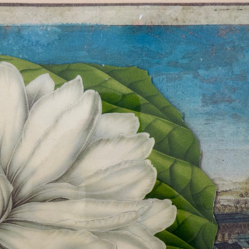 One-of-a-Kind Collaged Rome & White Flower Mat (#17)