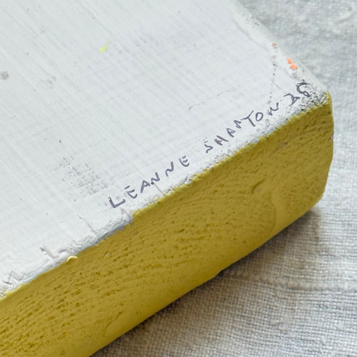 Leanne Shapton "Leaves of Grass" Painted Wooden Book