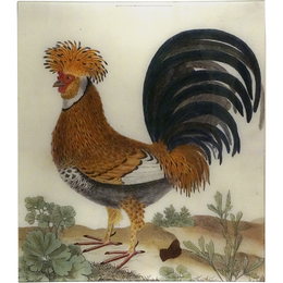 Crested Rooster