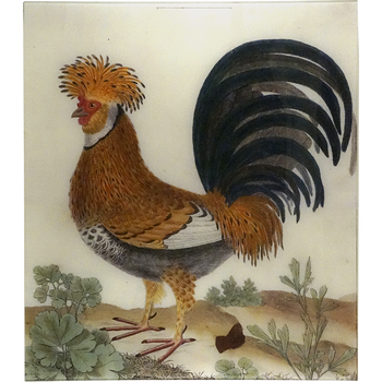 Crested Rooster