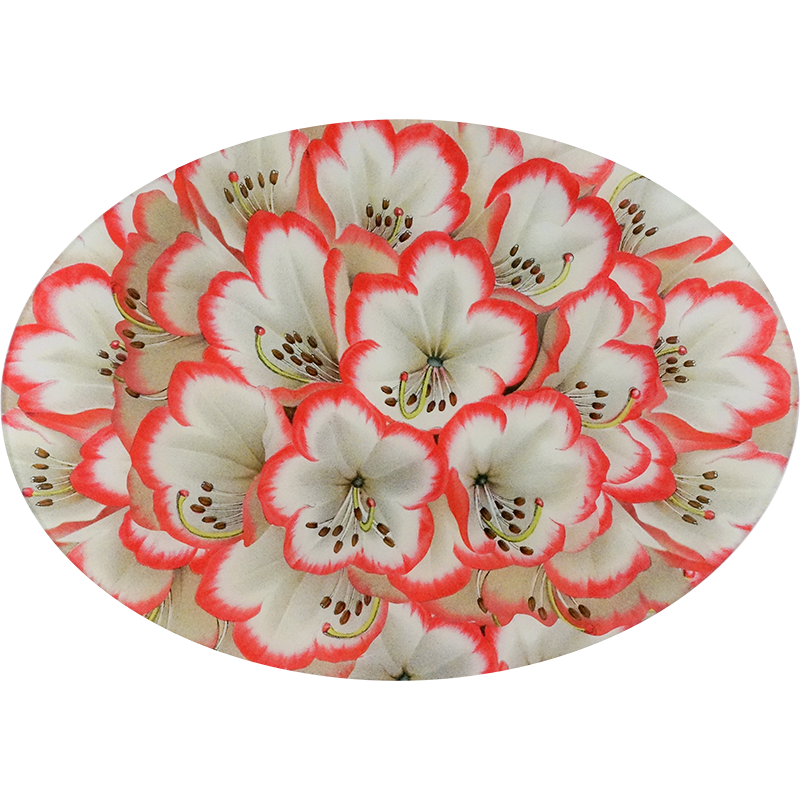 A thirteen inch by eighteen inch horizontal oval glass plate with a close up of red and white rhododendron.  