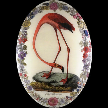 Flamingo with Flowers (Convex)