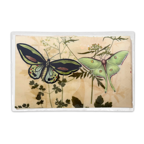 One-of-a-Kind Collaged Green Butterflies Mat (#18)