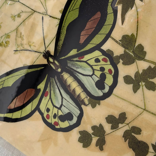 One-of-a-Kind Collaged Green Butterflies Mat (#18)