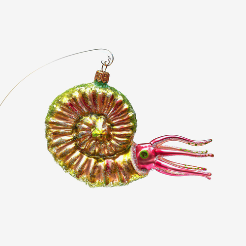 Green & Pink Ammonite Ornament